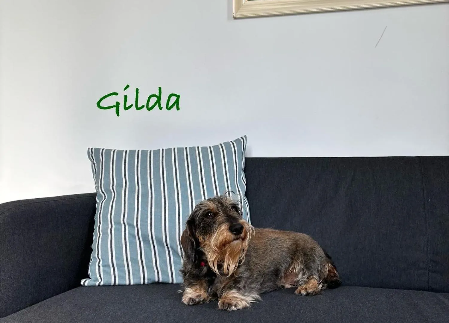 Appartamento Casa Di Gilda Ospedaletti Italia